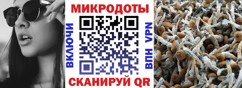 Галлюциногенные грибы GOLDEN TEACHER Дзержинский