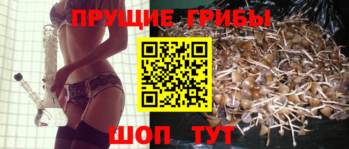 Галлюциногенные грибы Magic Shrooms  Вход с VPN  Дзержинский 